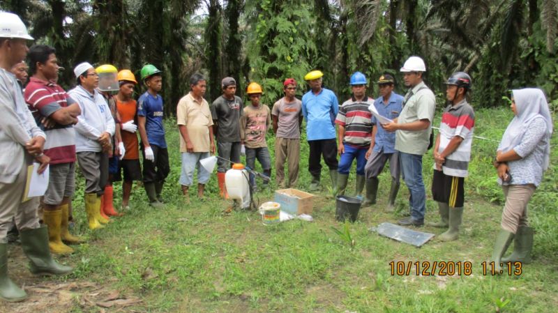 Saat Mau Peremajaan, Petani Terancam Hilang Kemitraan