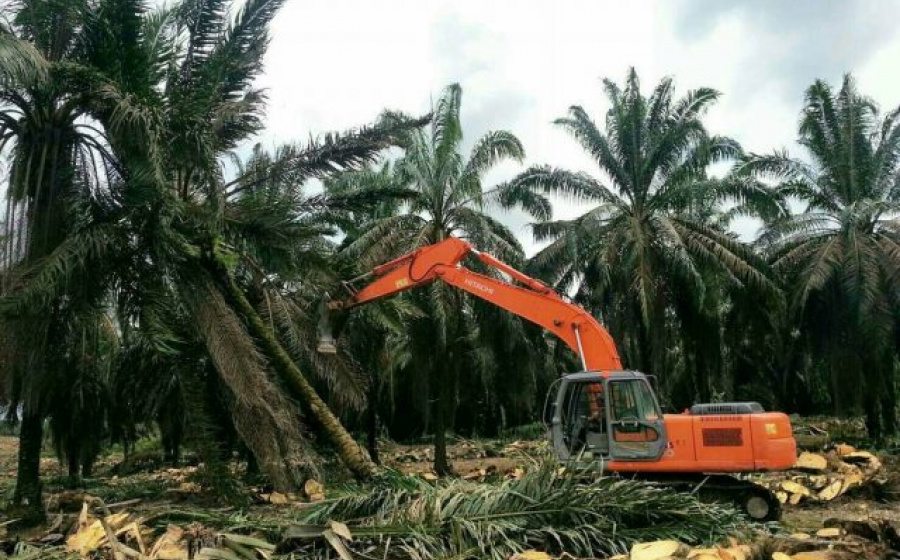 Ajukan Lahan Kosong, Usulan PSR Ditolak