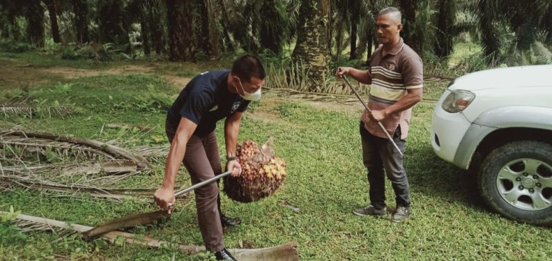 Karena Pandemi, Perayaan Hari Jadi tak Bisa Ramai-ramai