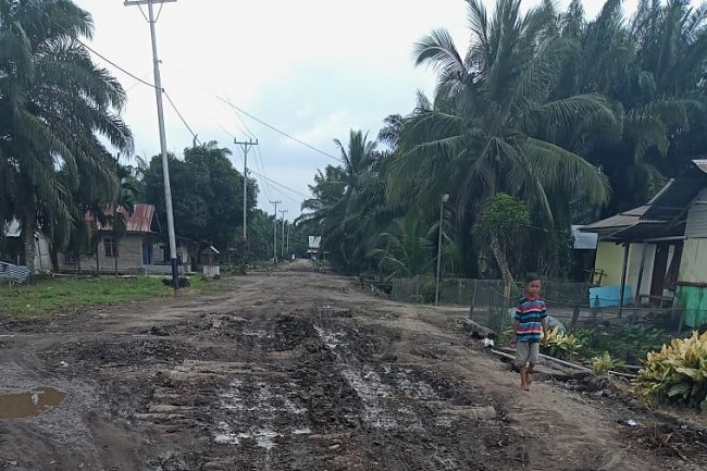 Kawasan Hutan: 'Ngurat Kuno' Atau Gertak Maya?