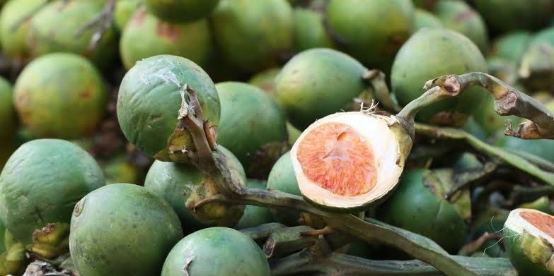 Waduh! Harga Pinang Kering Turun Lagi
