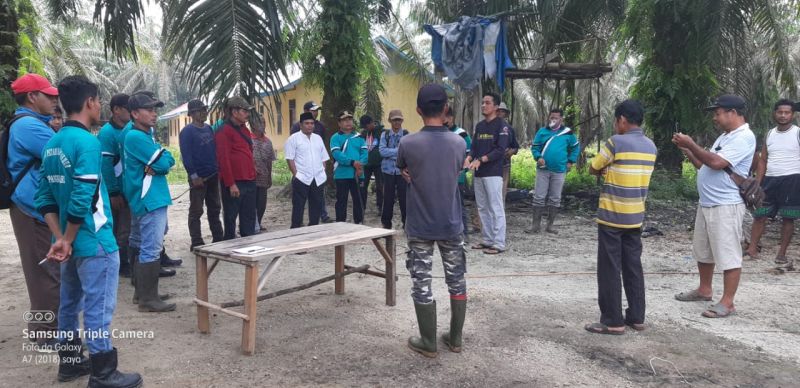 Pinggirkan Konflik Internal, Petani Kopsa-M Fokus Merawat Kebun