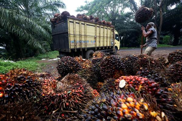 Ternyata, Faedah Mandatori Biodiesel Itu Banyak Loo...