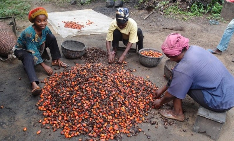 Guinea, Dimana?