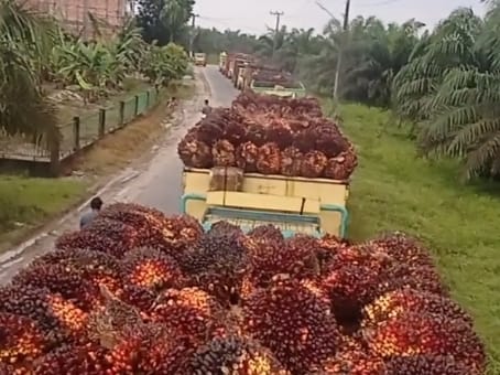 Jalan Rusak Parah, Transportasi Sawit Terganggu
