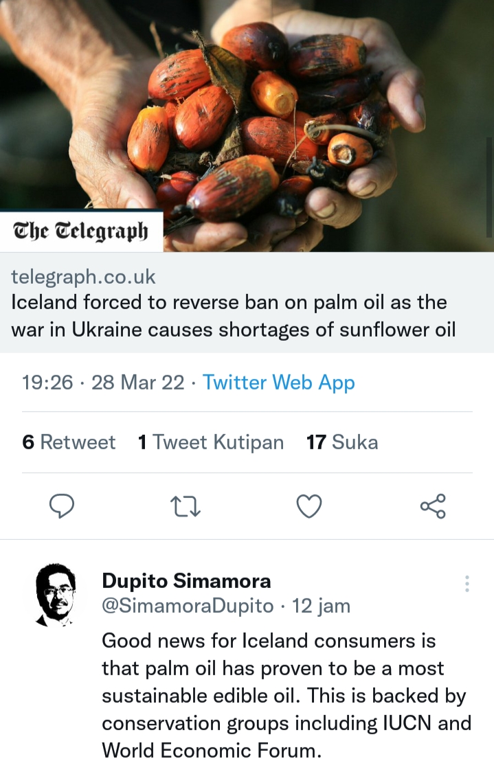 Perang Bikin Negara ini Berpaling ke Sawit