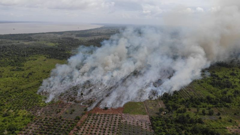 Puncak Kemarau Juni-Juli, Siak Waspada Karhutla