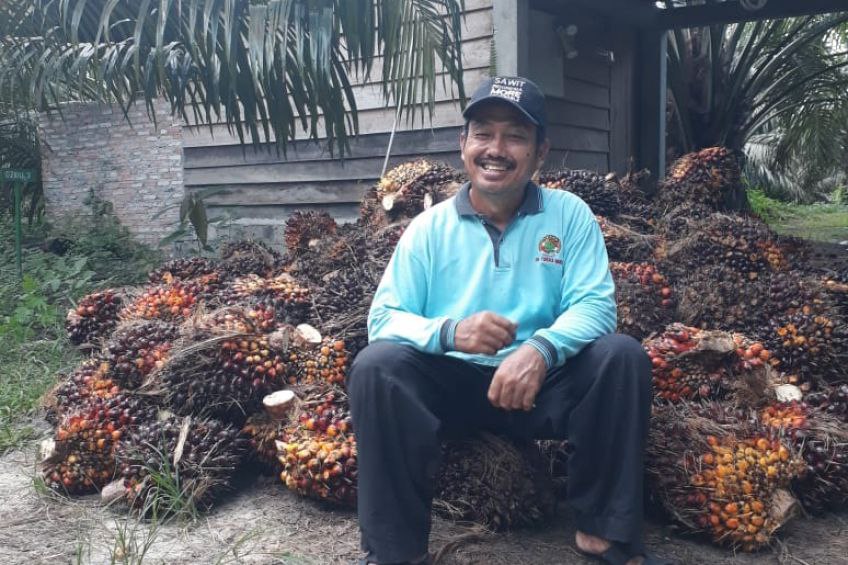 ISPO Untungkan Semuanya