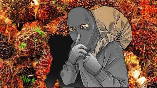 Hasil Panen Makin Bagus, tapi Petani Sawit ini Malah Rugi