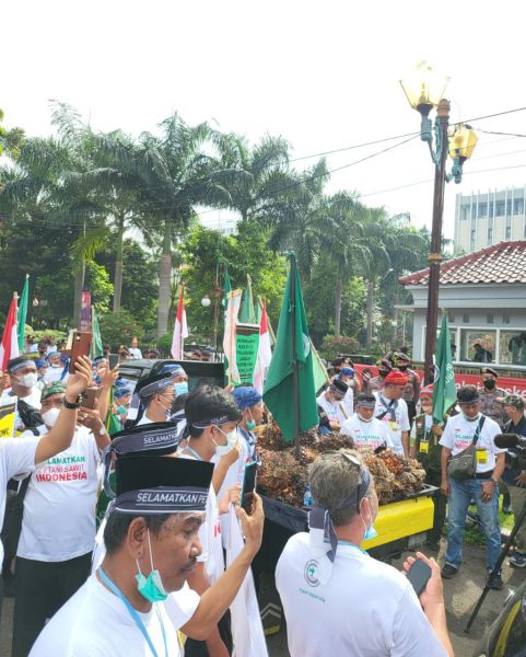 Petani Sawit Geruduk Kantor Menko Perekonomian
