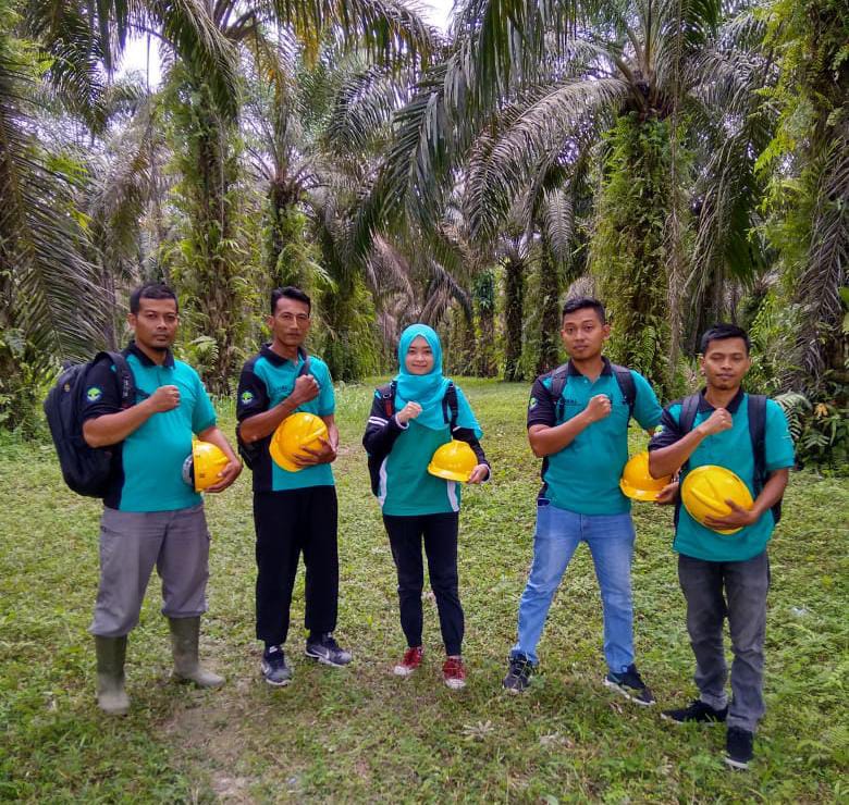 APBML Terus Perluas Kebun yang Tersertifikasi RSPO