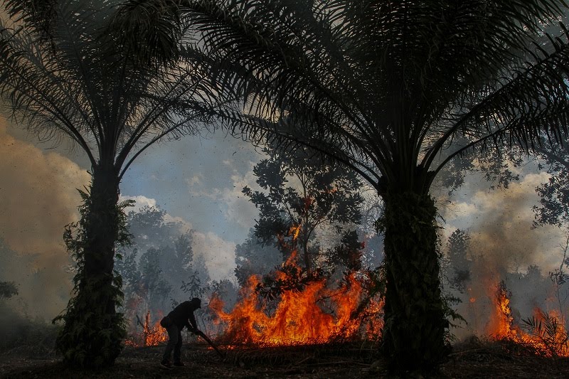 Masyarakat Diminta Tak Lakukan Hal Pemicu Karhutla