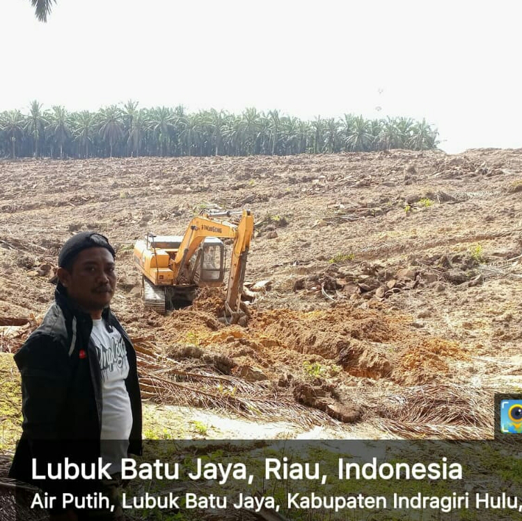 Petani di Pelosok Tak Paham Dana Replanting BPDPKS