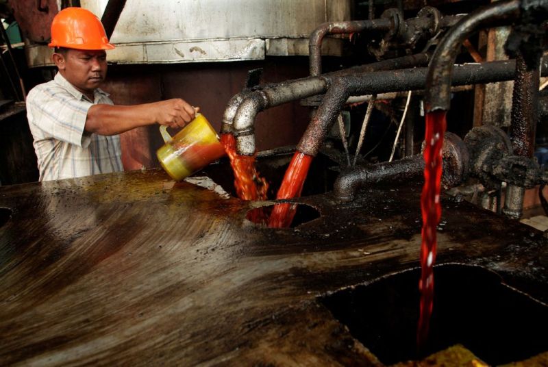 Harga CPO Naik Turun, Bikin Petani 'Kembang Kempis'